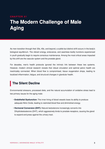 The Male Vitality Blueprint