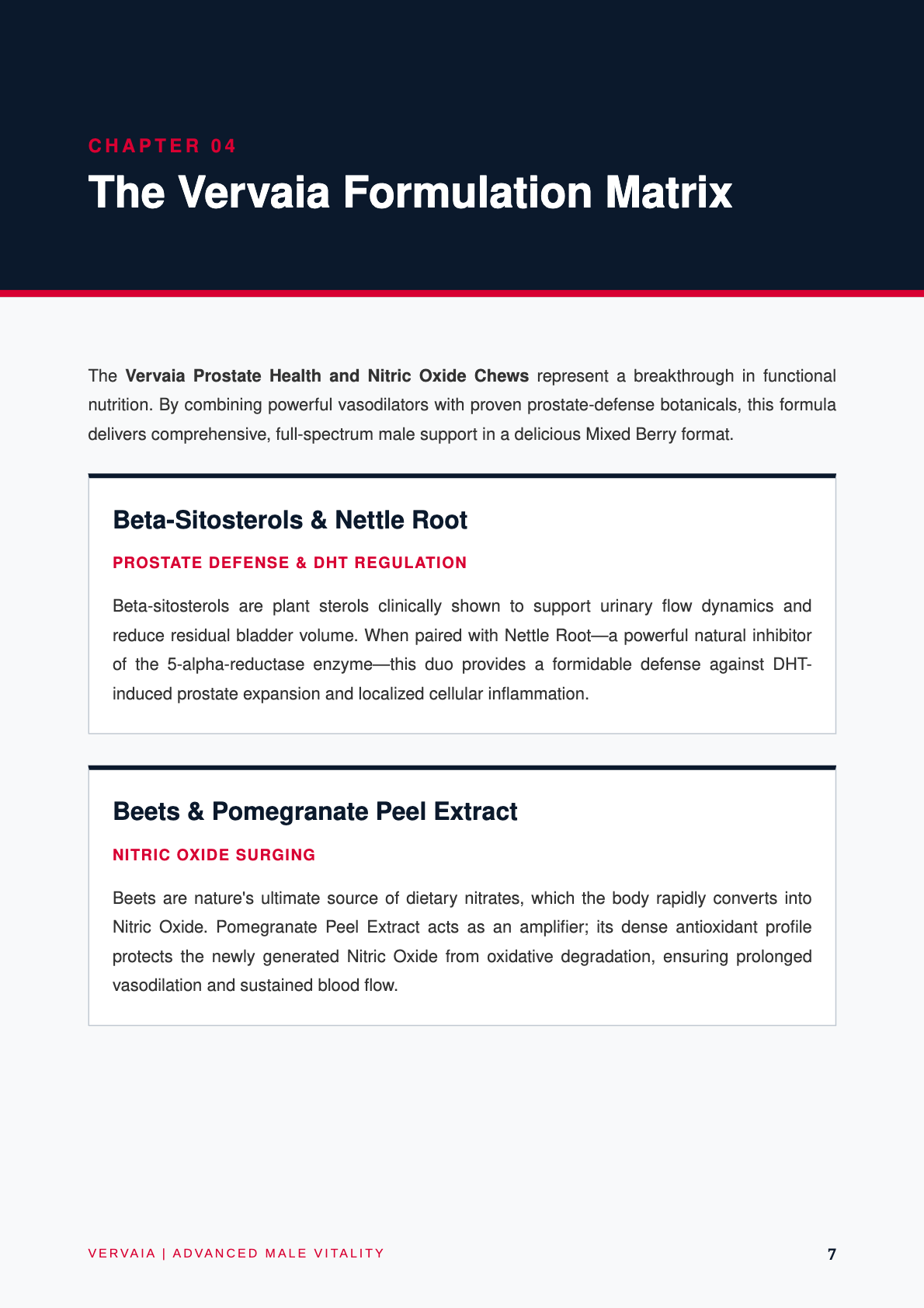 The Male Vitality Blueprint