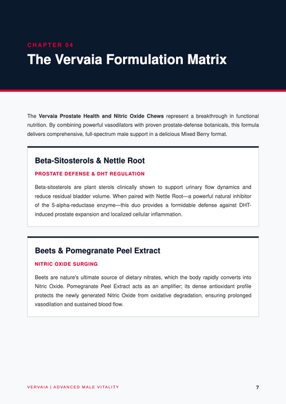 The Male Vitality Blueprint